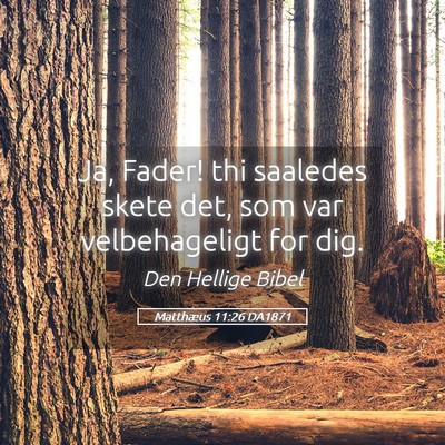Picture 05 - Matthæus 11:26 DA1871 - Ja, Fader! thi saaledes skete det, som var - Bible Verse Picture