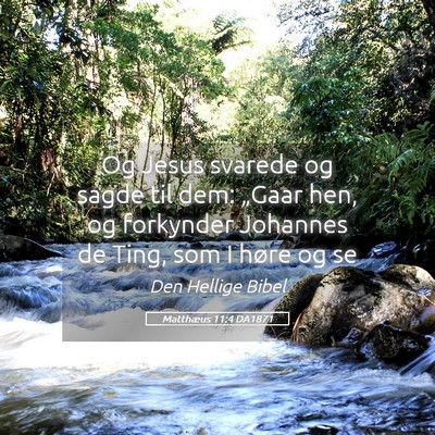 Picture 05 - Matthæus 11:4 DA1871 - Og Jesus svarede og sagde til dem: „Gaar hen, - Bible Verse Picture