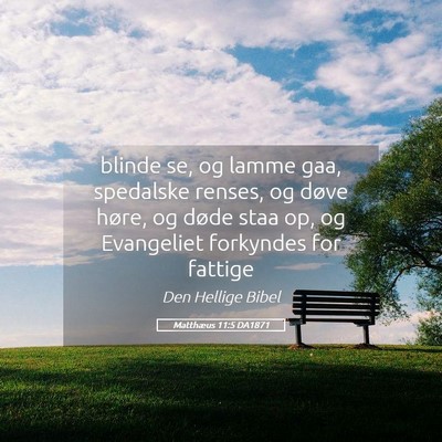 Picture 05 - Matthæus 11:5 DA1871 - blinde se, og lamme gaa, spedalske renses, og - Bible Verse Picture