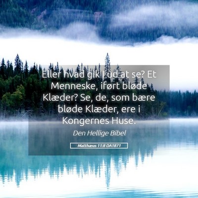Picture 05 - Matthæus 11:8 DA1871 - Eller hvad gik I ud at se? Et Menneske, iført - Bible Verse Picture