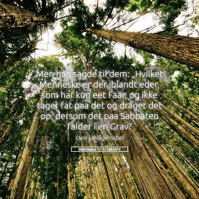 Picture 05 - Matthæus 12:11 DA1871 - Men han sagde til dem: „Hvilket Menneske er der - Bible Verse Picture