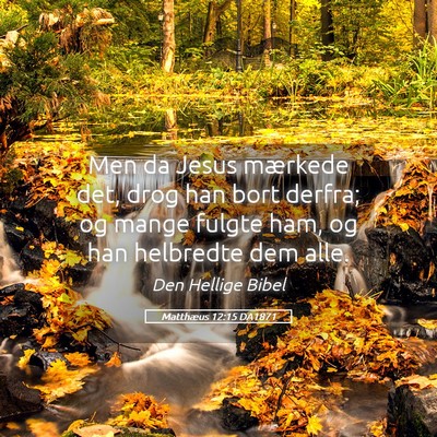 Picture 05 - Matthæus 12:15 DA1871 - Men da Jesus mærkede det, drog han bort derfra; - Bible Verse Picture