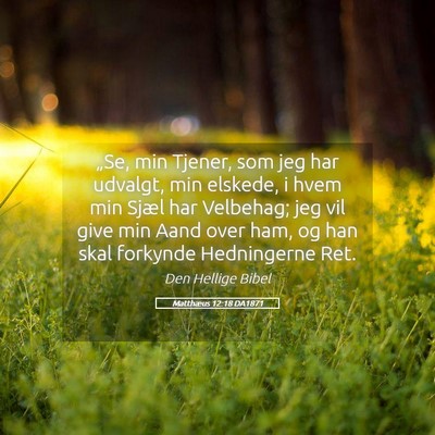 Picture 05 - Matthæus 12:18 DA1871 - „Se, min Tjener, som jeg har udvalgt, min - Bible Verse Picture