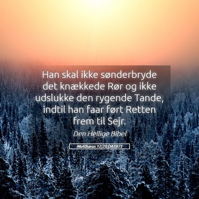 Picture 05 - Matthæus 12:20 DA1871 - Han skal ikke sønderbryde det knækkede Rør og - Bible Verse Picture
