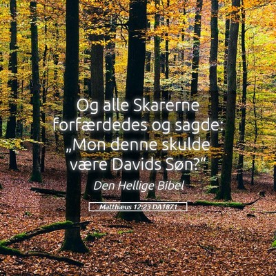 Picture 05 - Matthæus 12:23 DA1871 - Og alle Skarerne forfærdedes og sagde: „Mon - Bible Verse Picture