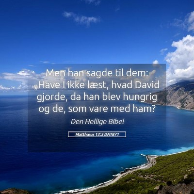 Picture 05 - Matthæus 12:3 DA1871 - Men han sagde til dem: „Have I ikke læst, hvad - Bible Verse Picture