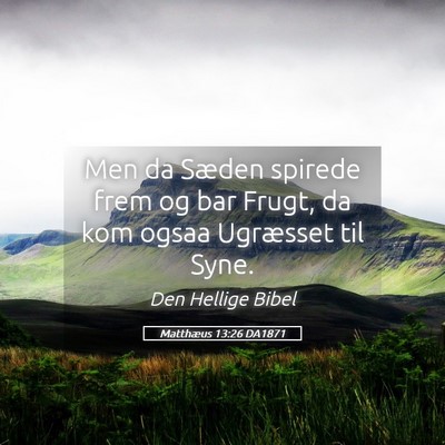 Picture 05 - Matthæus 13:26 DA1871 - Men da Sæden spirede frem og bar Frugt, da kom - Bible Verse Picture