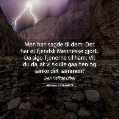 Picture 05 - Matthæus 13:28 DA1871 - Men han sagde til dem: Det har et fjendsk - Bible Verse Picture
