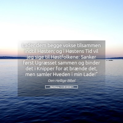 Picture 05 - Matthæus 13:30 DA1871 - Lader dem begge vokse tilsammen indtil Høsten; - Bible Verse Picture