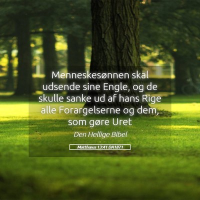 Picture 05 - Matthæus 13:41 DA1871 - Menneskesønnen skal udsende sine Engle, og de - Bible Verse Picture
