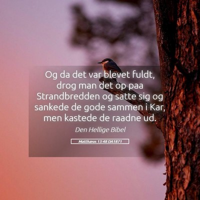 Picture 05 - Matthæus 13:48 DA1871 - Og da det var blevet fuldt, drog man det op paa - Bible Verse Picture