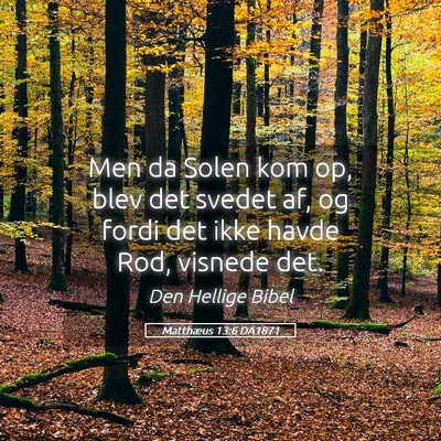 Picture 05 - Matthæus 13:6 DA1871 - Men da Solen kom op, blev det svedet af, og fordi - Bible Verse Picture