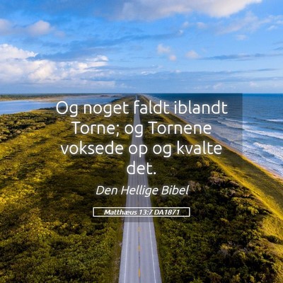 Picture 05 - Matthæus 13:7 DA1871 - Og noget faldt iblandt Torne; og Tornene voksede - Bible Verse Picture