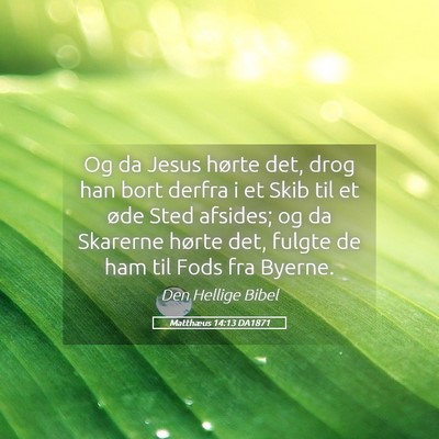 Picture 05 - Matthæus 14:13 DA1871 - Og da Jesus hørte det, drog han bort derfra i et - Bible Verse Picture