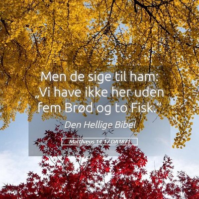 Picture 05 - Matthæus 14:17 DA1871 - Men de sige til ham: „Vi have ikke her uden fem - Bible Verse Picture