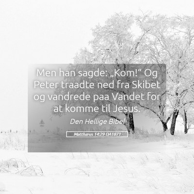 Picture 05 - Matthæus 14:29 DA1871 - Men han sagde: „Kom!“ Og Peter traadte ned - Bible Verse Picture