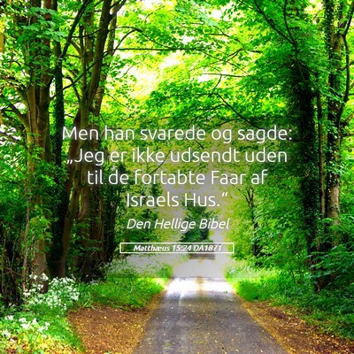 Picture 05 - Matthæus 15:24 DA1871 - Men han svarede og sagde: „Jeg er ikke udsendt - Bible Verse Picture