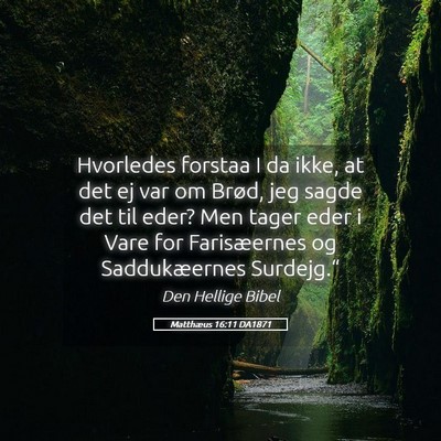 Picture 05 - Matthæus 16:11 DA1871 - Hvorledes forstaa I da ikke, at det ej var om - Bible Verse Picture
