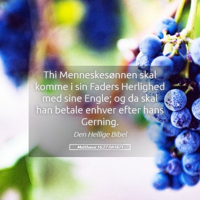 Picture 05 - Matthæus 16:27 DA1871 - Thi Menneskesønnen skal komme i sin Faders - Bible Verse Picture