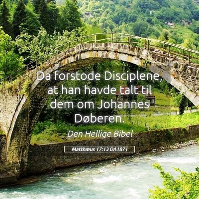 Picture 05 - Matthæus 17:13 DA1871 - Da forstode Disciplene, at han havde talt til dem - Bible Verse Picture