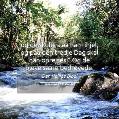 Picture 05 - Matthæus 17:23 DA1871 - og de skulle slaa ham ihjel, og paa den tredje - Bible Verse Picture