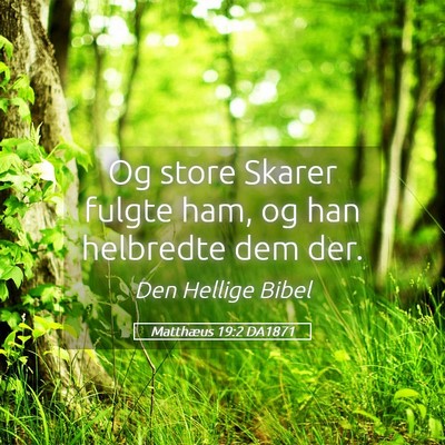 Picture 05 - Matthæus 19:2 DA1871 - Og store Skarer fulgte ham, og han helbredte dem - Bible Verse Picture