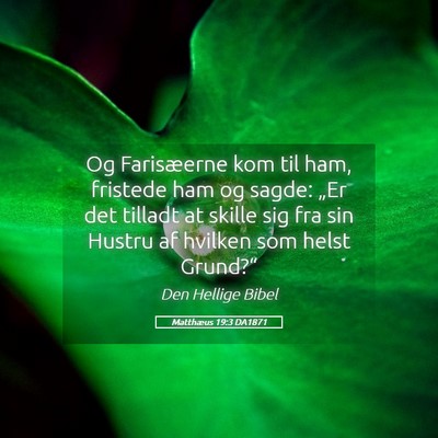 Picture 05 - Matthæus 19:3 DA1871 - Og Farisæerne kom til ham, fristede ham og - Bible Verse Picture