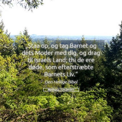 Picture 05 - Matthæus 2:20 DA1871 - „Staa op, og tag Barnet og dets Moder med dig, - Bible Verse Picture