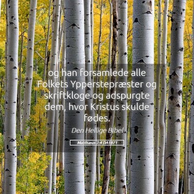 Picture 05 - Matthæus 2:4 DA1871 - og han forsamlede alle Folkets Ypperstepræster - Bible Verse Picture