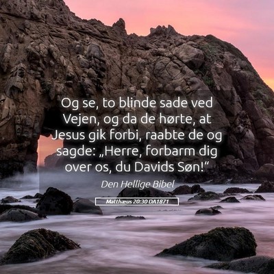 Picture 05 - Matthæus 20:30 DA1871 - Og se, to blinde sade ved Vejen, og da de hørte, - Bible Verse Picture