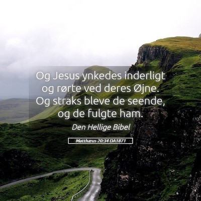 Picture 05 - Matthæus 20:34 DA1871 - Og Jesus ynkedes inderligt og rørte ved deres - Bible Verse Picture