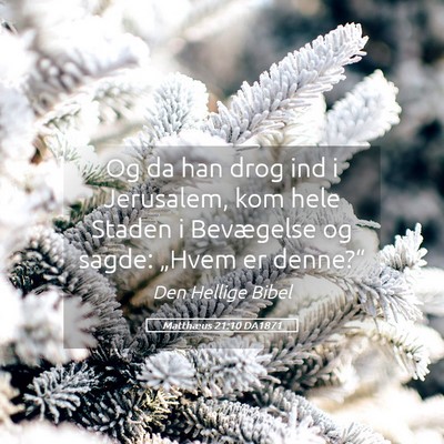 Picture 05 - Matthæus 21:10 DA1871 - Og da han drog ind i Jerusalem, kom hele Staden i - Bible Verse Picture