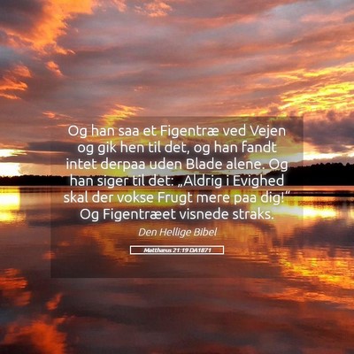 Picture 05 - Matthæus 21:19 DA1871 - Og han saa et Figentræ ved Vejen og gik hen til - Bible Verse Picture