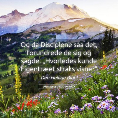 Picture 05 - Matthæus 21:20 DA1871 - Og da Disciplene saa det, forundrede de sig og - Bible Verse Picture
