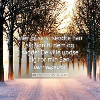 Picture 05 - Matthæus 21:37 DA1871 - Men til sidst sendte han sin Søn til dem og - Bible Verse Picture