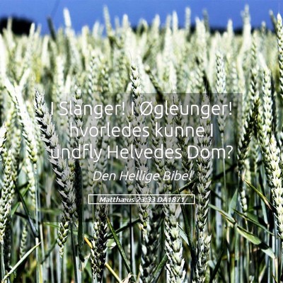 Picture 05 - Matthæus 23:33 DA1871 - I Slanger! I Øgleunger! hvorledes kunne I undfly - Bible Verse Picture