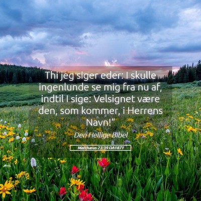 Picture 05 - Matthæus 23:39 DA1871 - Thi jeg siger eder: I skulle ingenlunde se mig - Bible Verse Picture