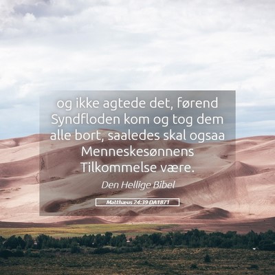Picture 05 - Matthæus 24:39 DA1871 - og ikke agtede det, førend Syndfloden kom og tog - Bible Verse Picture