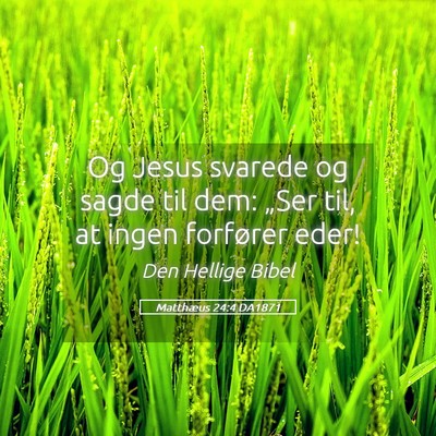 Picture 05 - Matthæus 24:4 DA1871 - Og Jesus svarede og sagde til dem: „Ser til, at - Bible Verse Picture