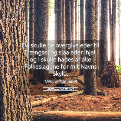 Picture 05 - Matthæus 24:9 DA1871 - Da skulle de overgive eder til Trængsel og slaa - Bible Verse Picture