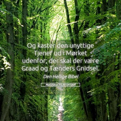 Picture 05 - Matthæus 25:30 DA1871 - Og kaster den unyttige Tjener ud i Mørket - Bible Verse Picture