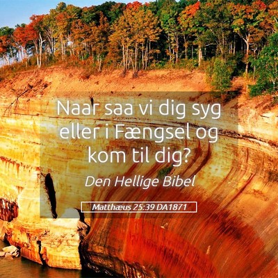 Picture 05 - Matthæus 25:39 DA1871 - Naar saa vi dig syg eller i Fængsel og kom til - Bible Verse Picture