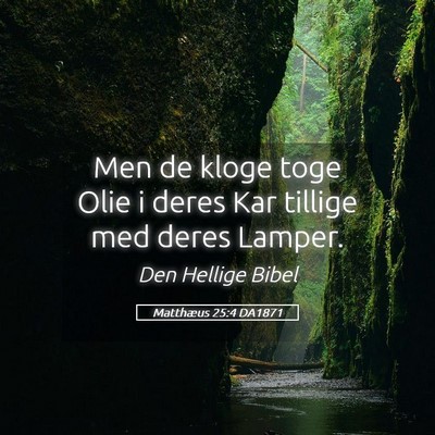 Picture 05 - Matthæus 25:4 DA1871 - Men de kloge toge Olie i deres Kar tillige med - Bible Verse Picture