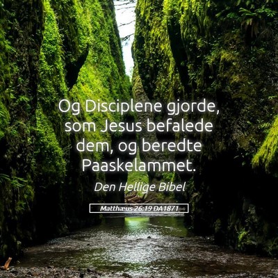 Picture 05 - Matthæus 26:19 DA1871 - Og Disciplene gjorde, som Jesus befalede dem, og - Bible Verse Picture