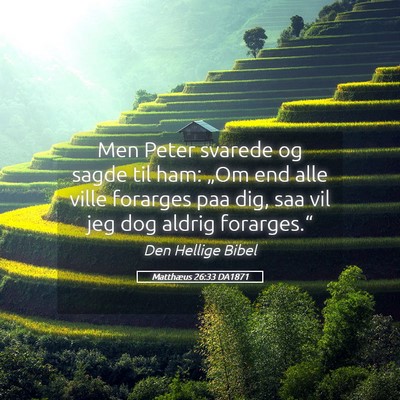 Picture 05 - Matthæus 26:33 DA1871 - Men Peter svarede og sagde til ham: „Om end - Bible Verse Picture