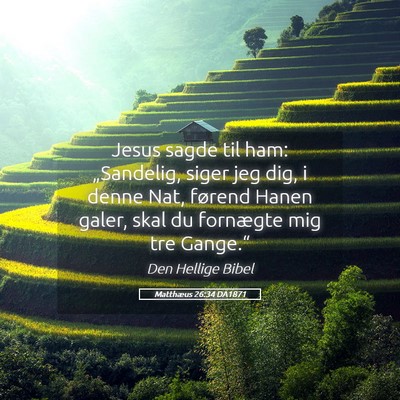 Picture 05 - Matthæus 26:34 DA1871 - Jesus sagde til ham: „Sandelig, siger jeg dig, - Bible Verse Picture