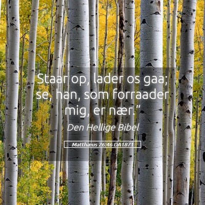 Picture 05 - Matthæus 26:46 DA1871 - Staar op, lader os gaa; se, han, som forraader - Bible Verse Picture
