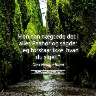 Picture 05 - Matthæus 26:70 DA1871 - Men han nægtede det i alles Paahør og sagde: - Bible Verse Picture