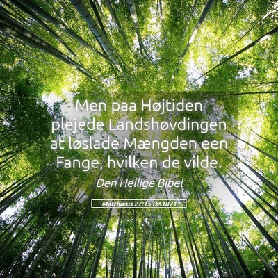 Picture 05 - Matthæus 27:15 DA1871 - Men paa Højtiden plejede Landshøvdingen at - Bible Verse Picture