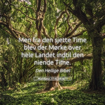 Picture 05 - Matthæus 27:45 DA1871 - Men fra den sjette Time blev der Mørke over hele - Bible Verse Picture